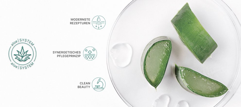 aloe vera
